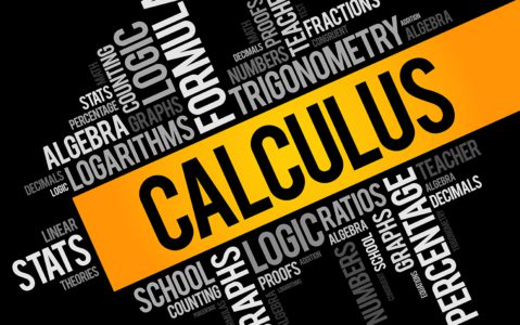 leaving cert maths grinds